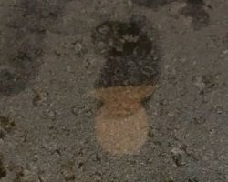 Merchant Marine Service Pin.
col. AMMM