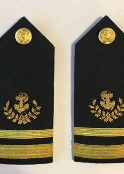 U.S. Maritime Service. Lieutenant, junior grade.