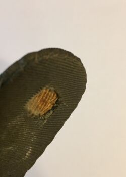 U.S. Maritime Service. Lieutenant Commander. circa 1943-45. Reverse.