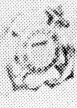 USMS trainee, type 3.